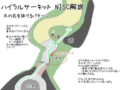 ハイラルサーキットNISC