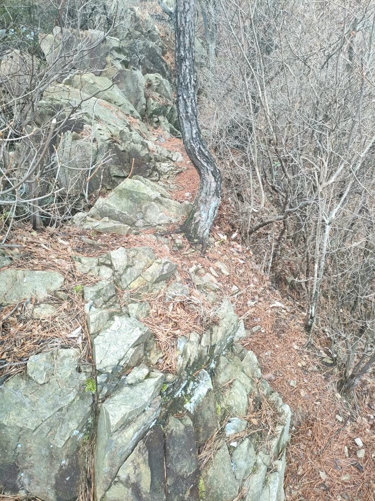 rokkou_20