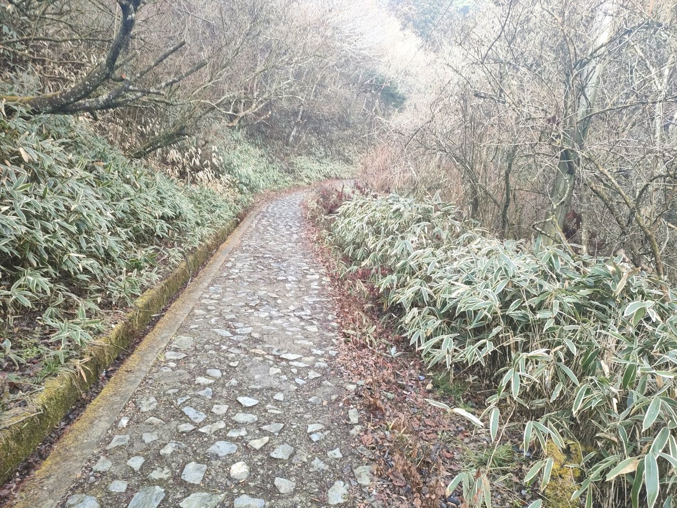 rokkou_38