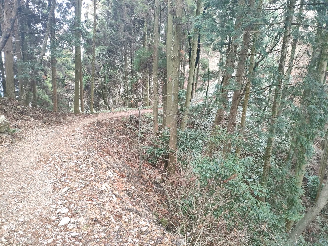 rokkou_41