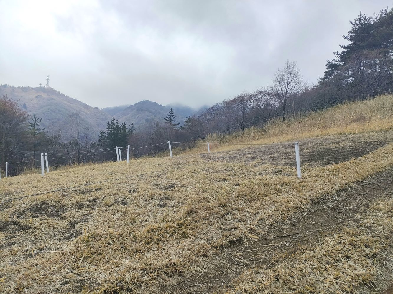 rokkou_18