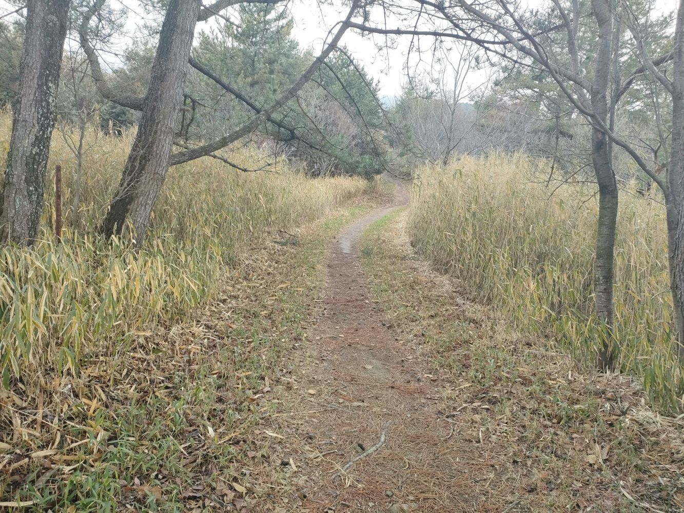 rokkou_17