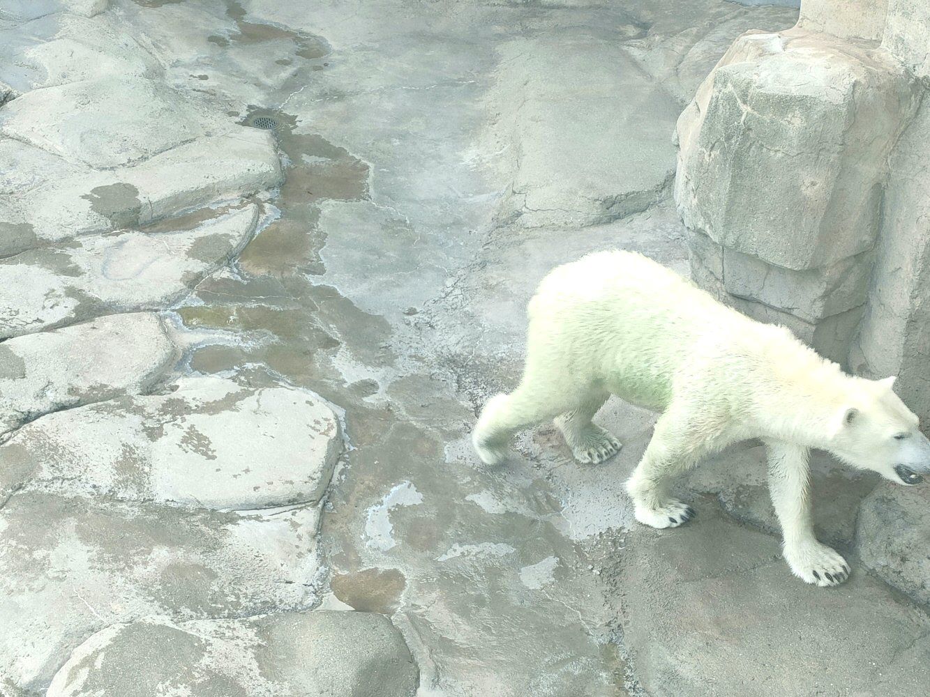 ouzi_zoo_016