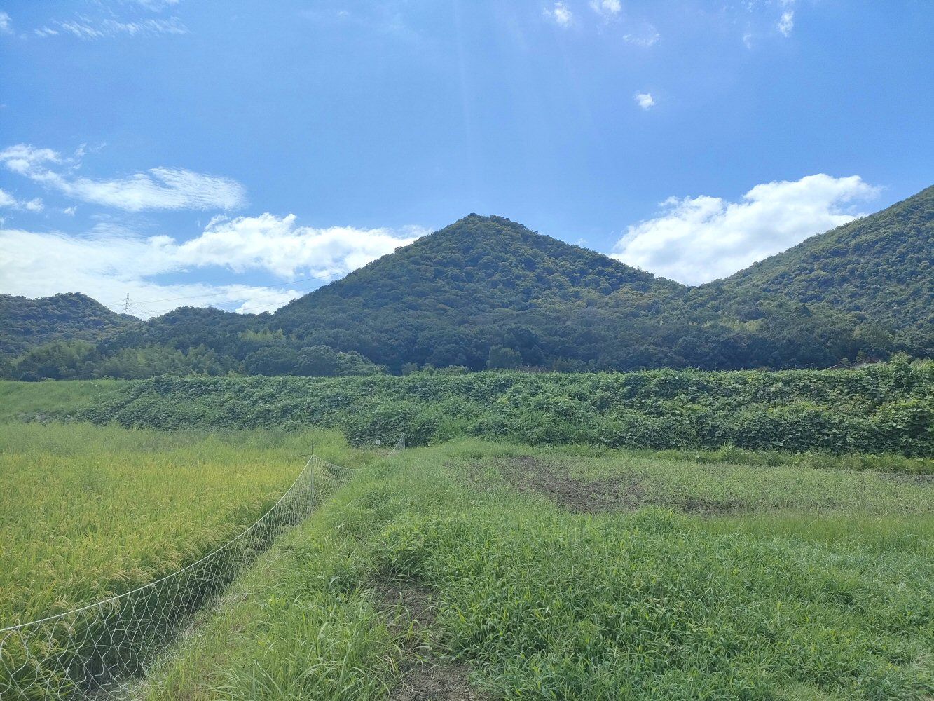 takamikura_009