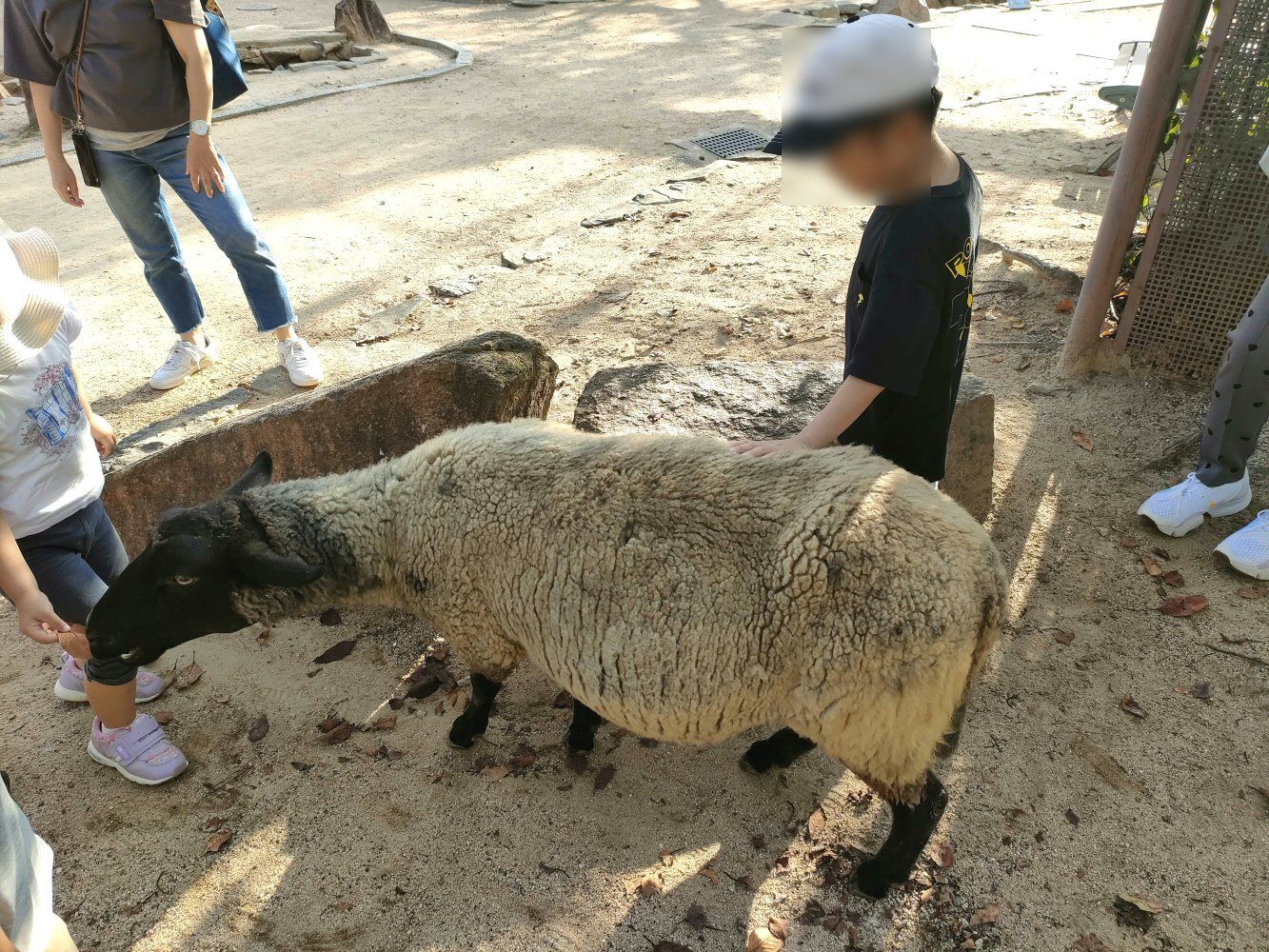 ouzi_zoo_010