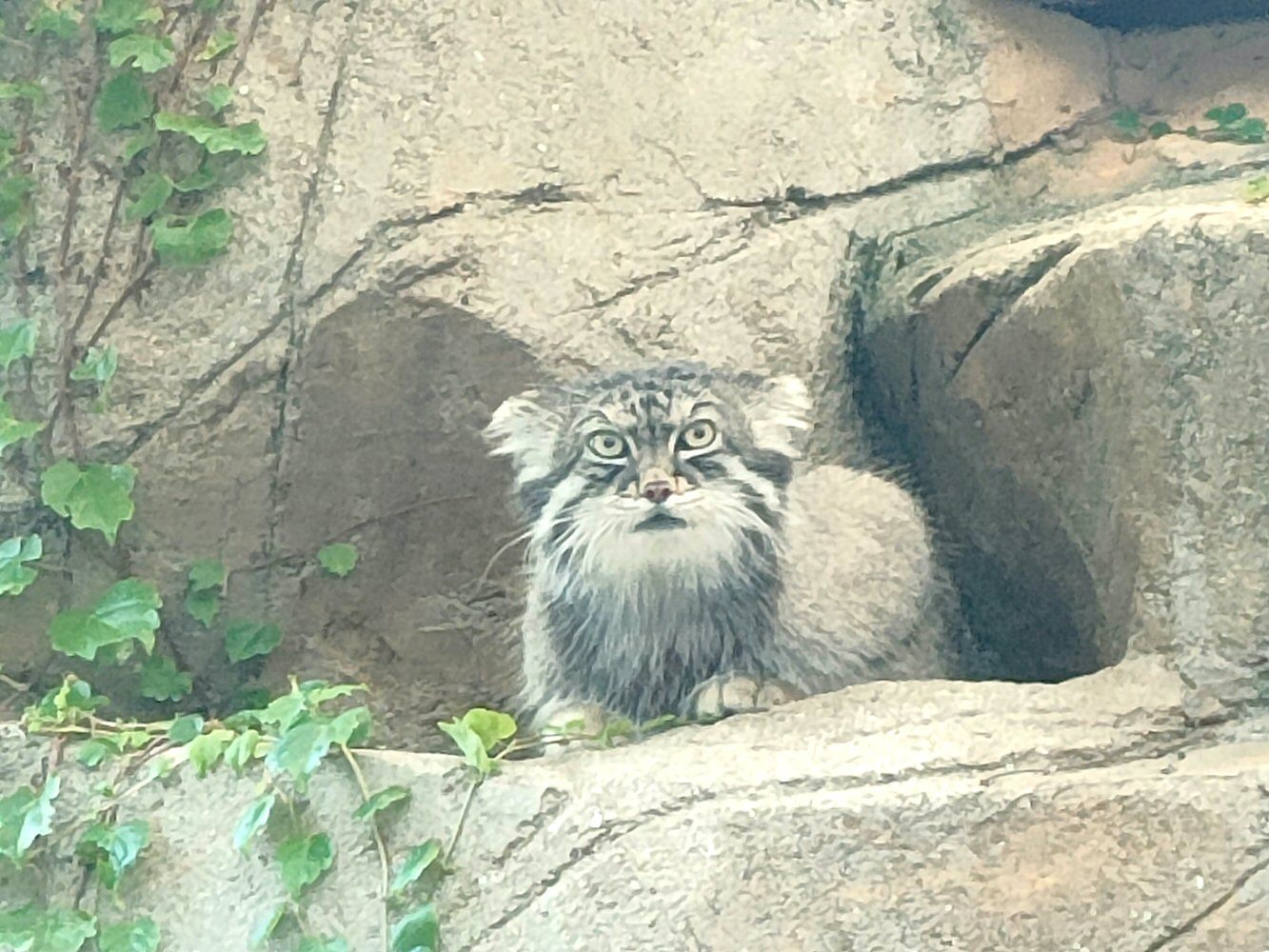 ouzi_zoo_023