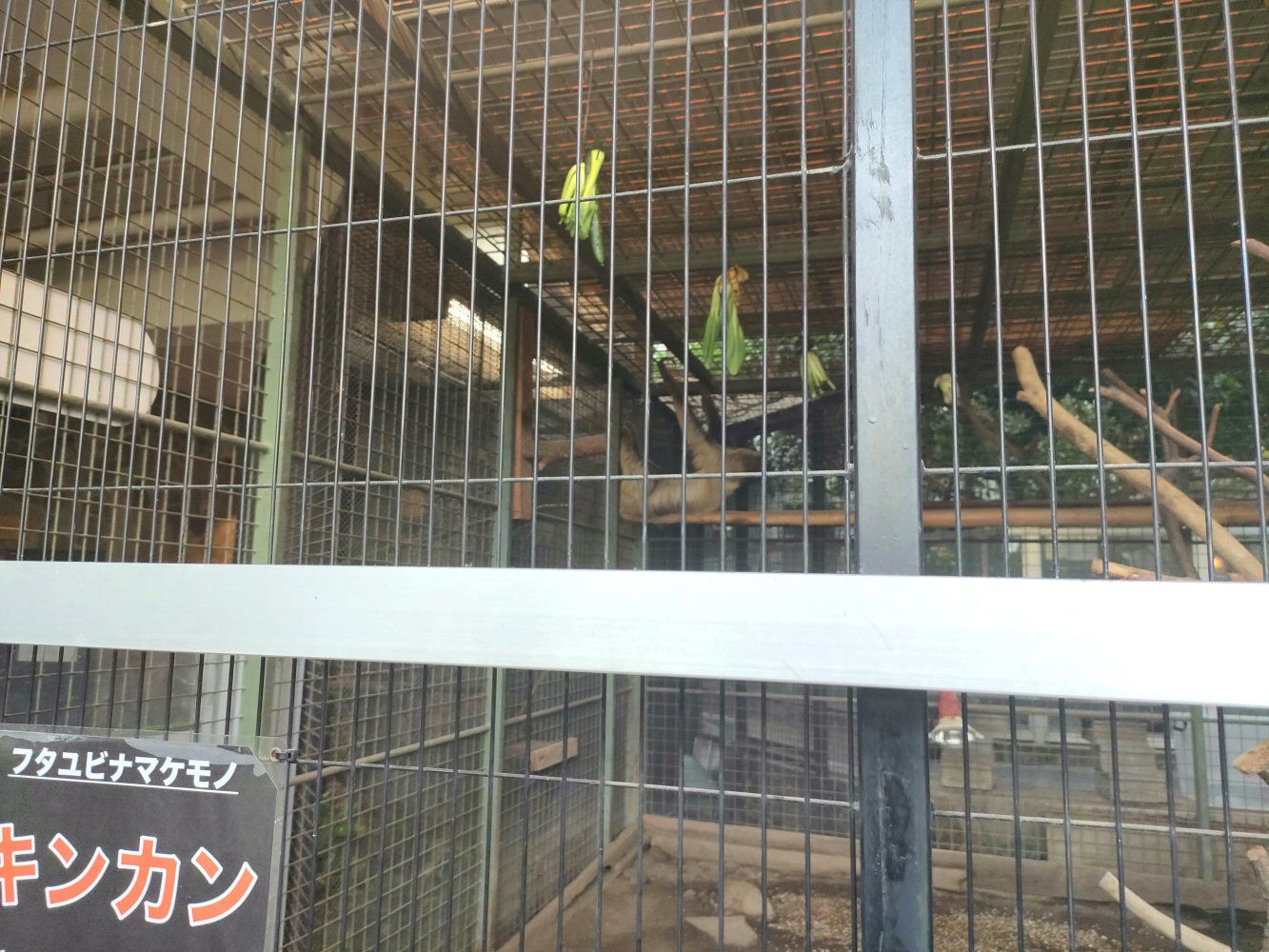 ouzi_zoo_038