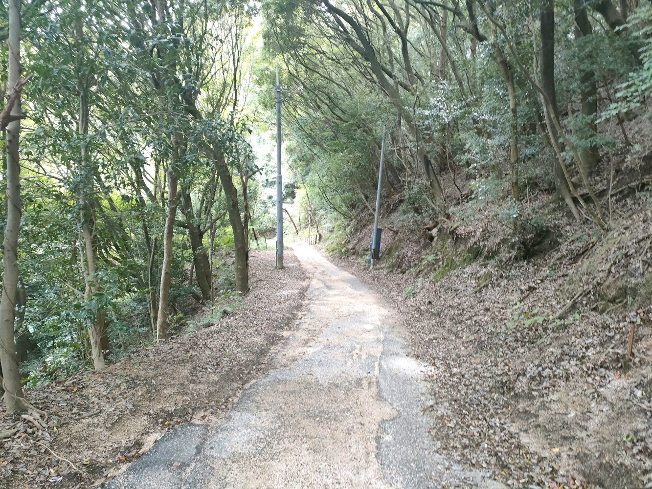 rokkou4_030