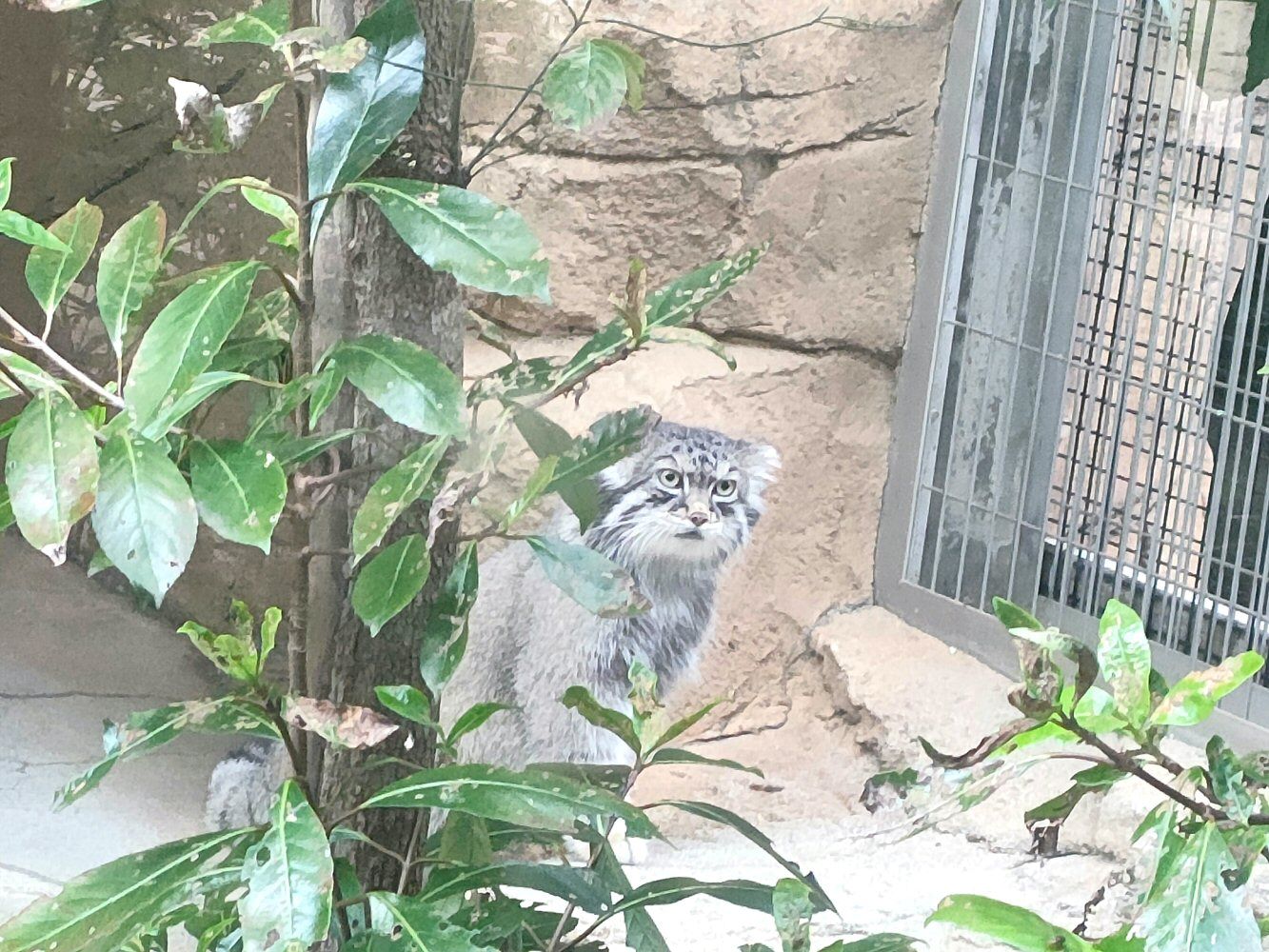 ouzi_zoo_028