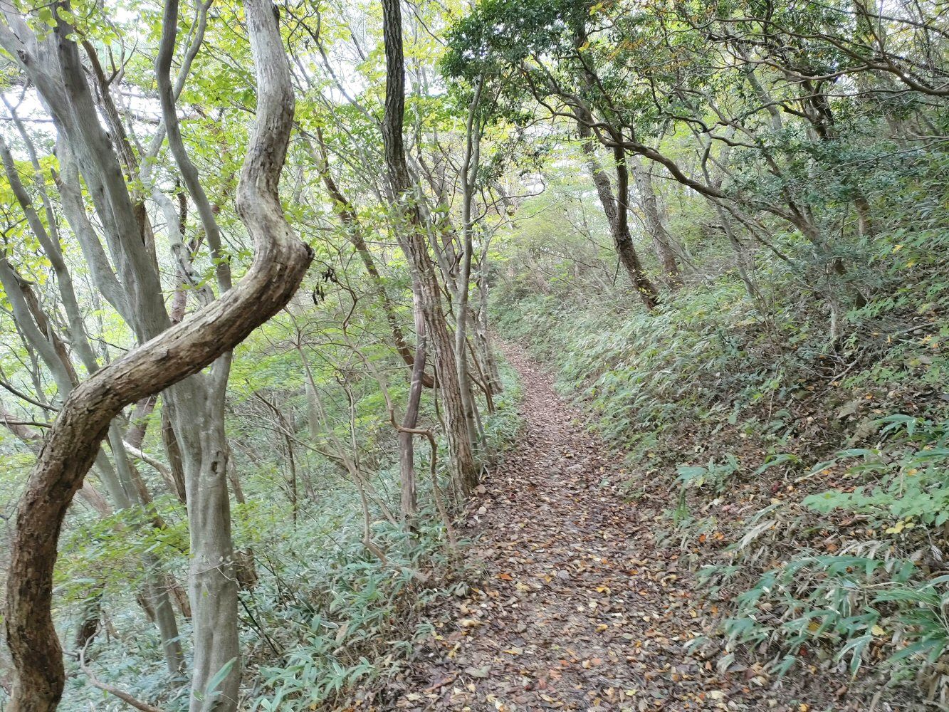 rokkou4_014