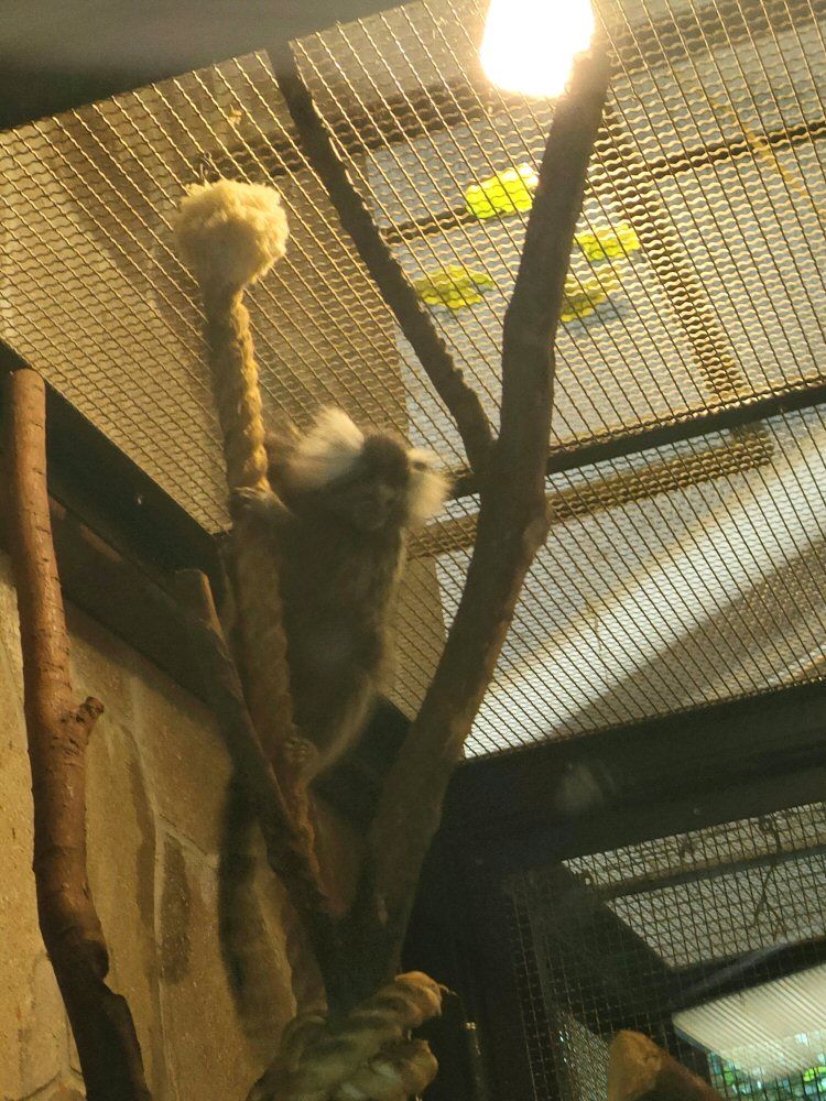 ouzi_zoo_036