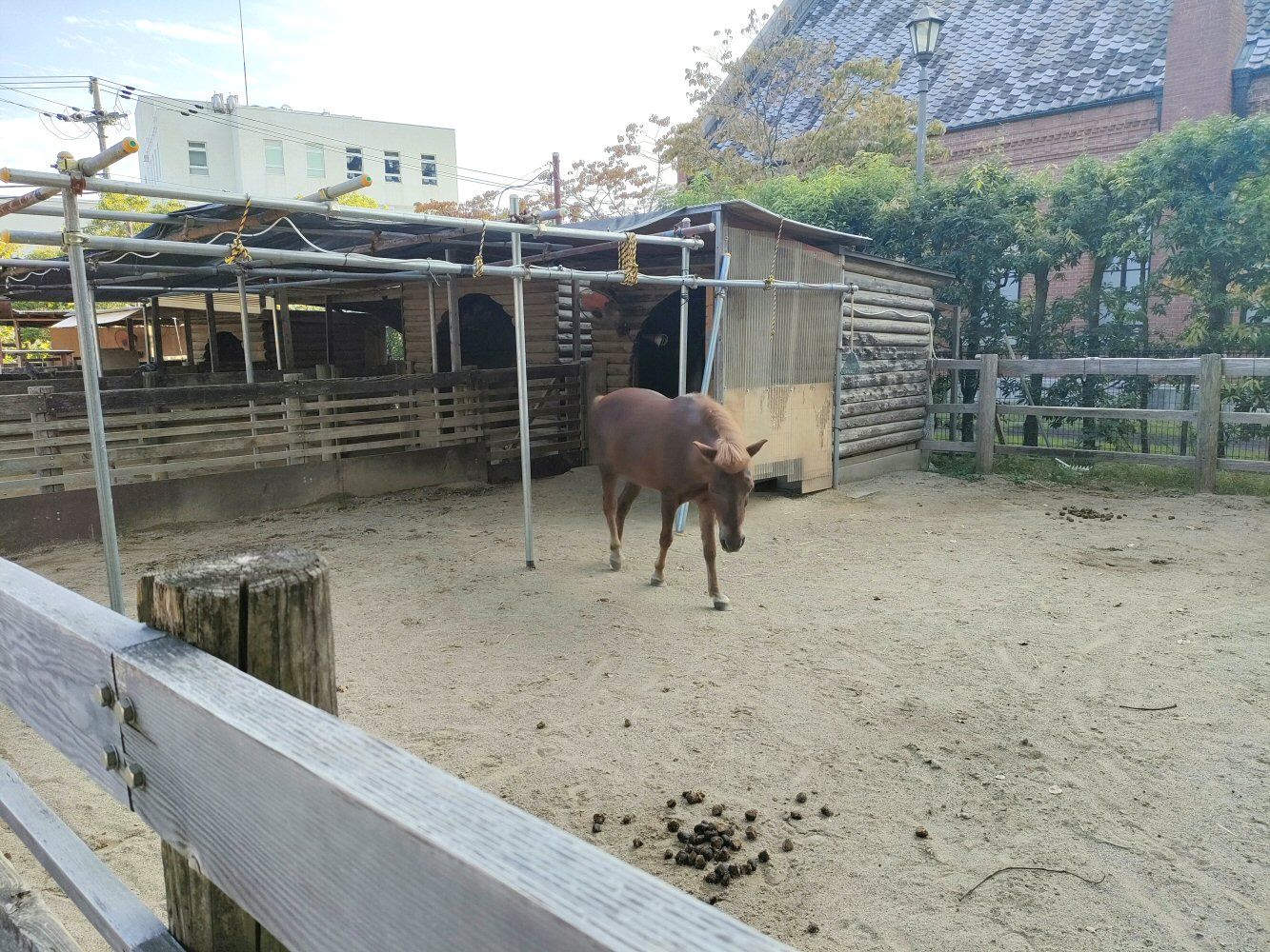 ouzi_zoo_012