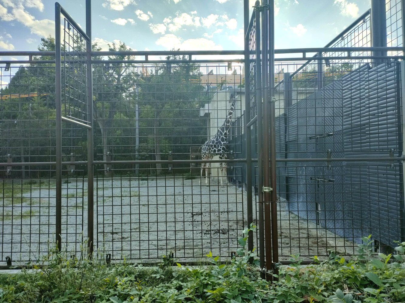 ouzi_zoo_039