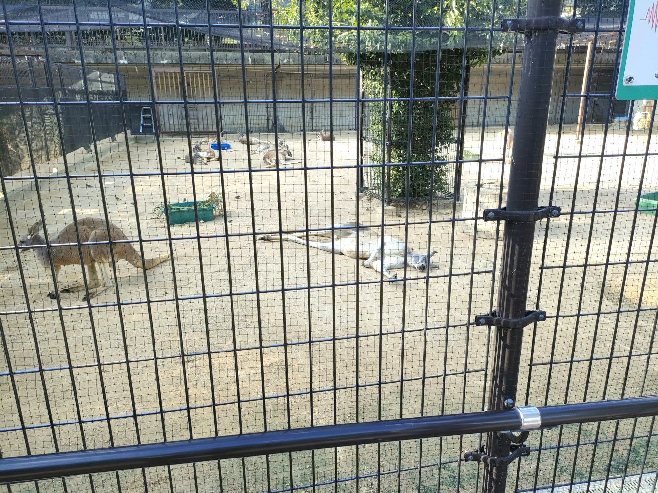 ouzi_zoo_041