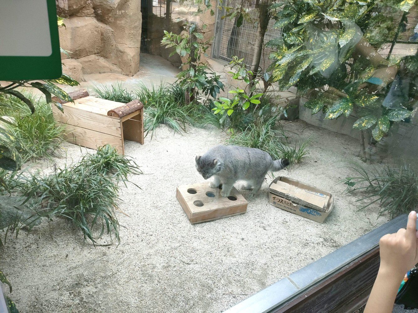 ouzi_zoo_029