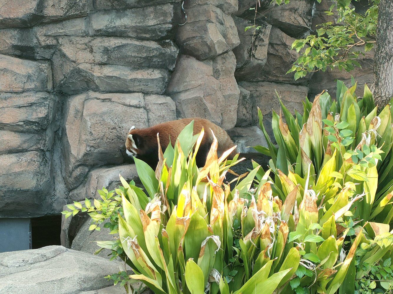 ouzi_zoo_008