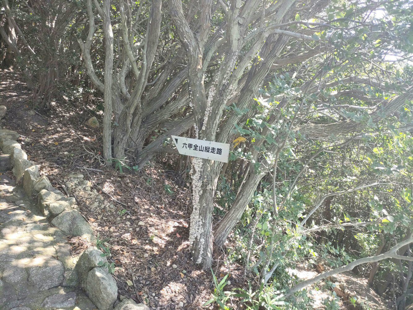 rokkou_04