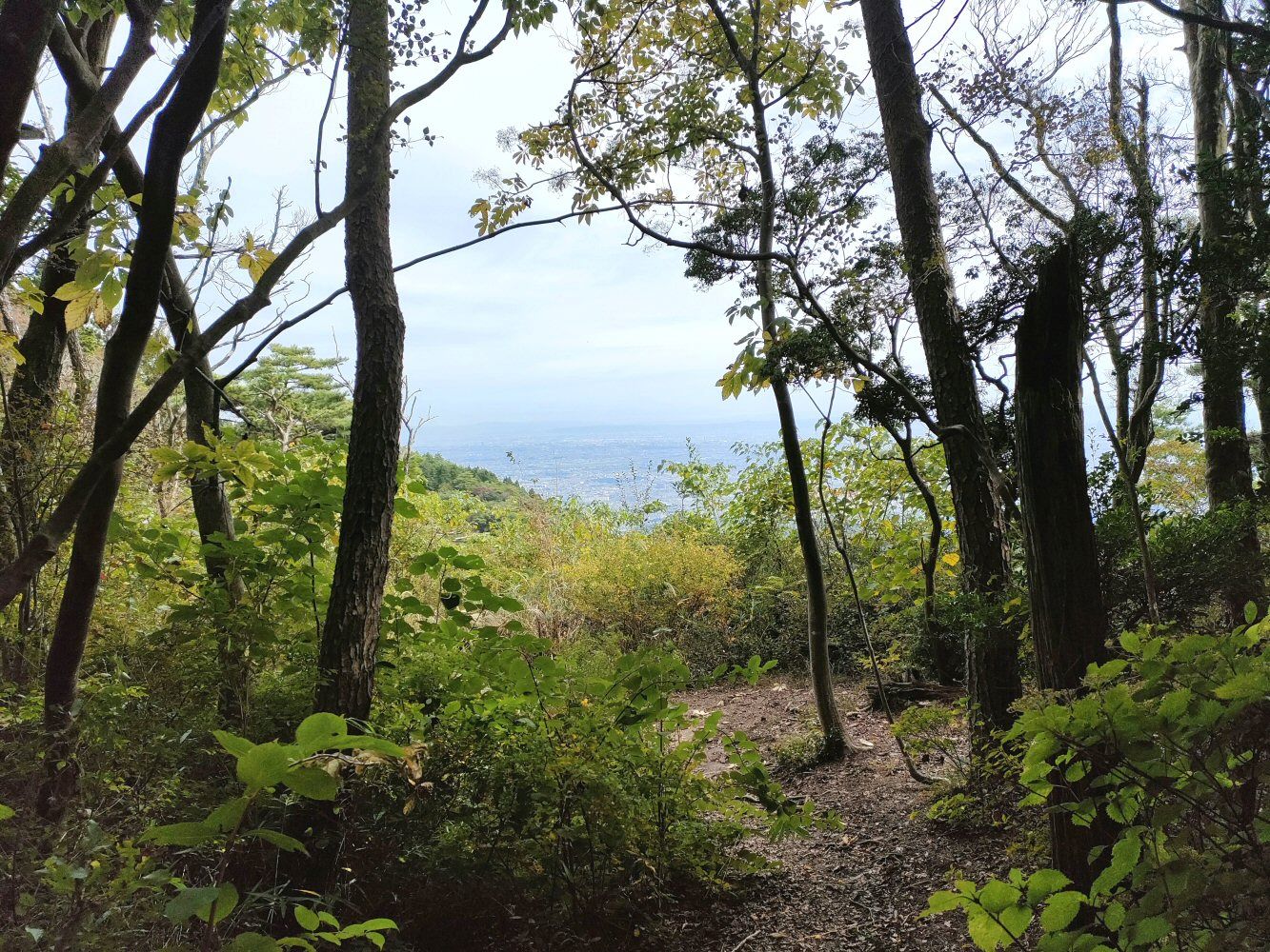 rokkou4_020