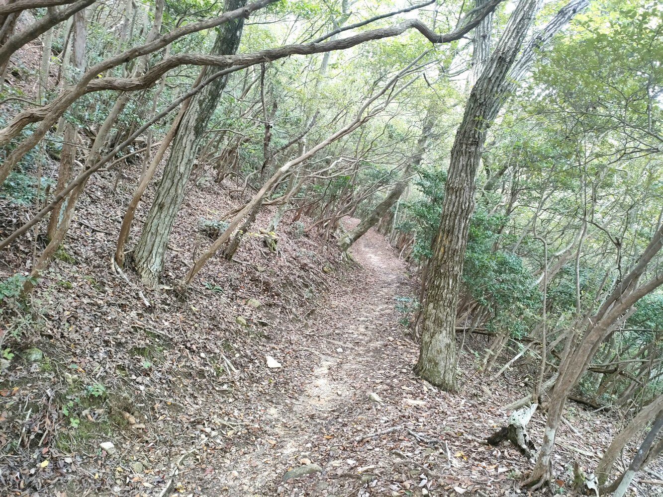 rokkou4_024