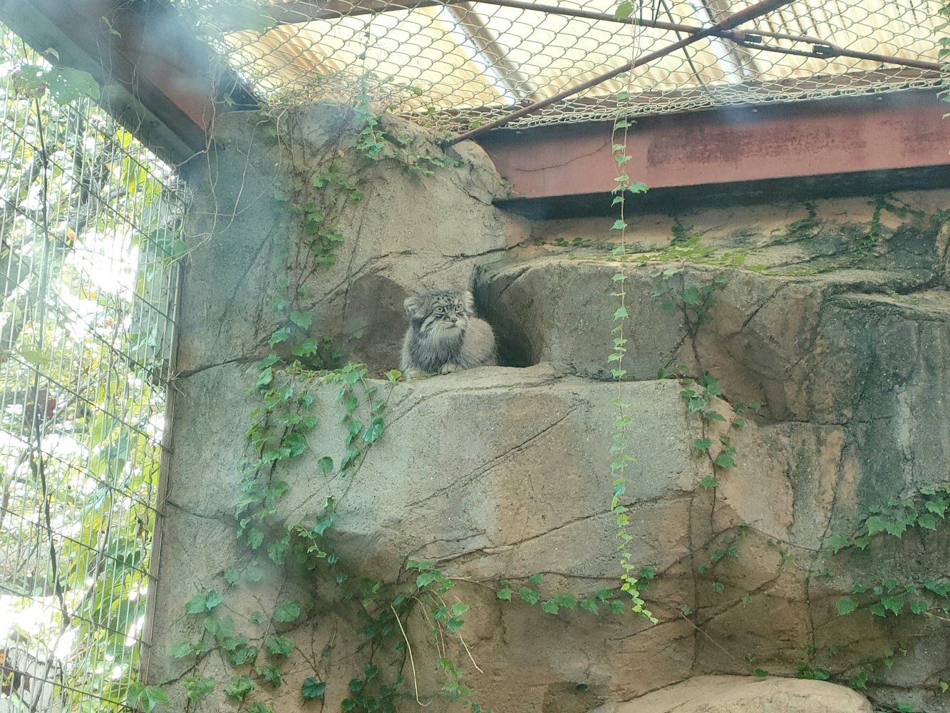 ouzi_zoo_020