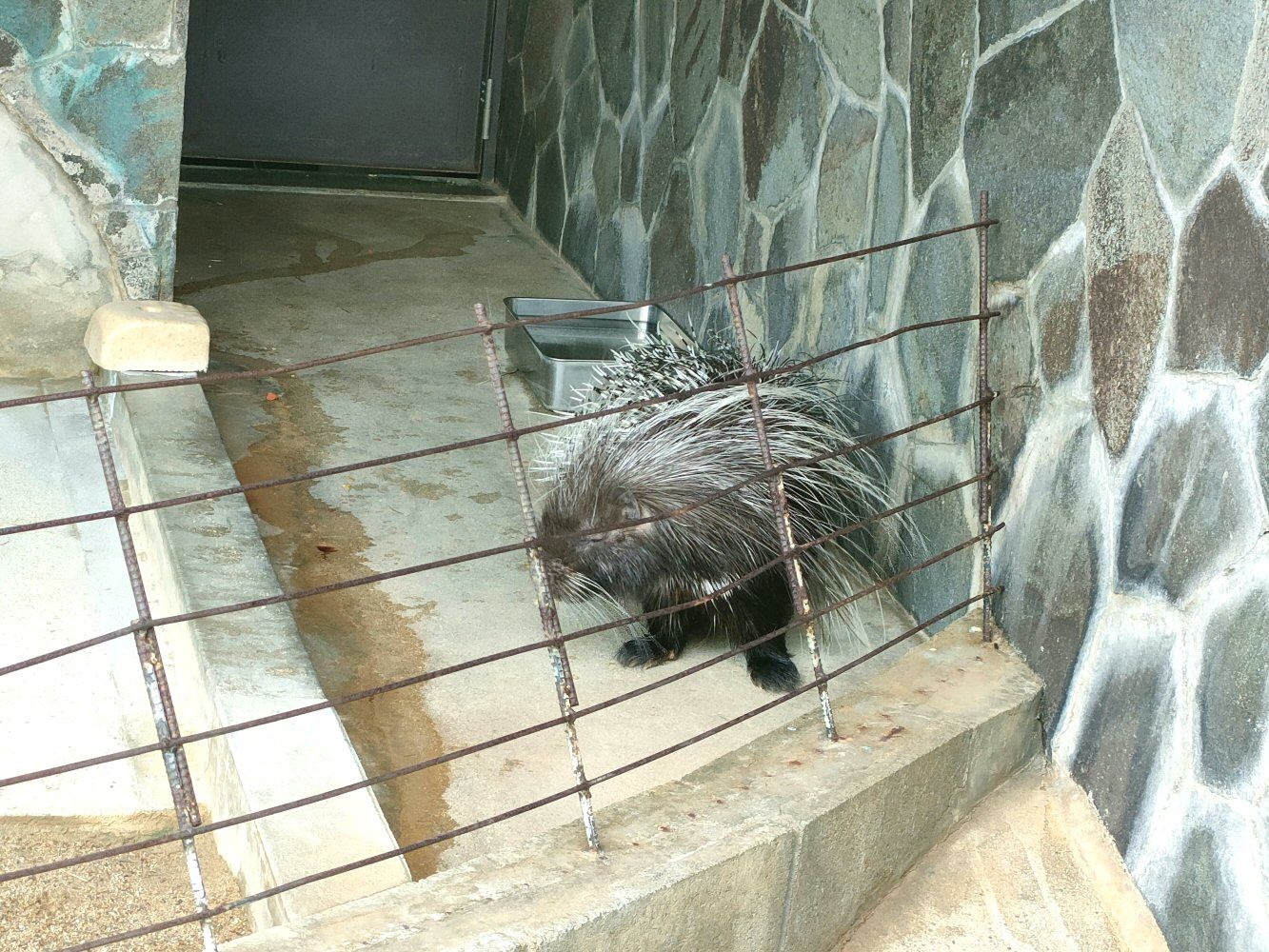 ouzi_zoo_018
