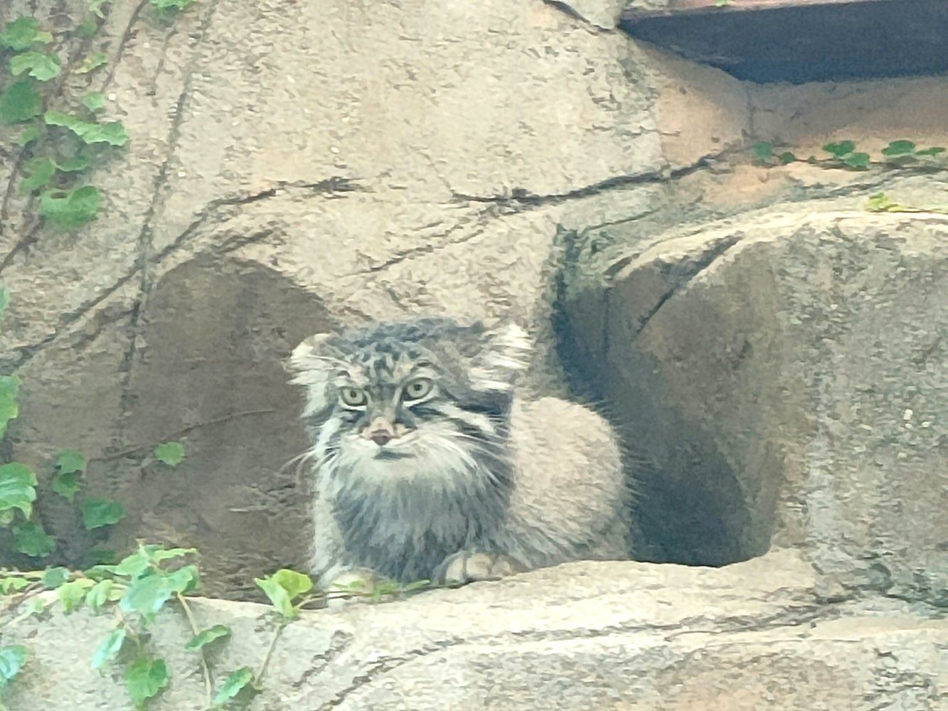 ouzi_zoo_021