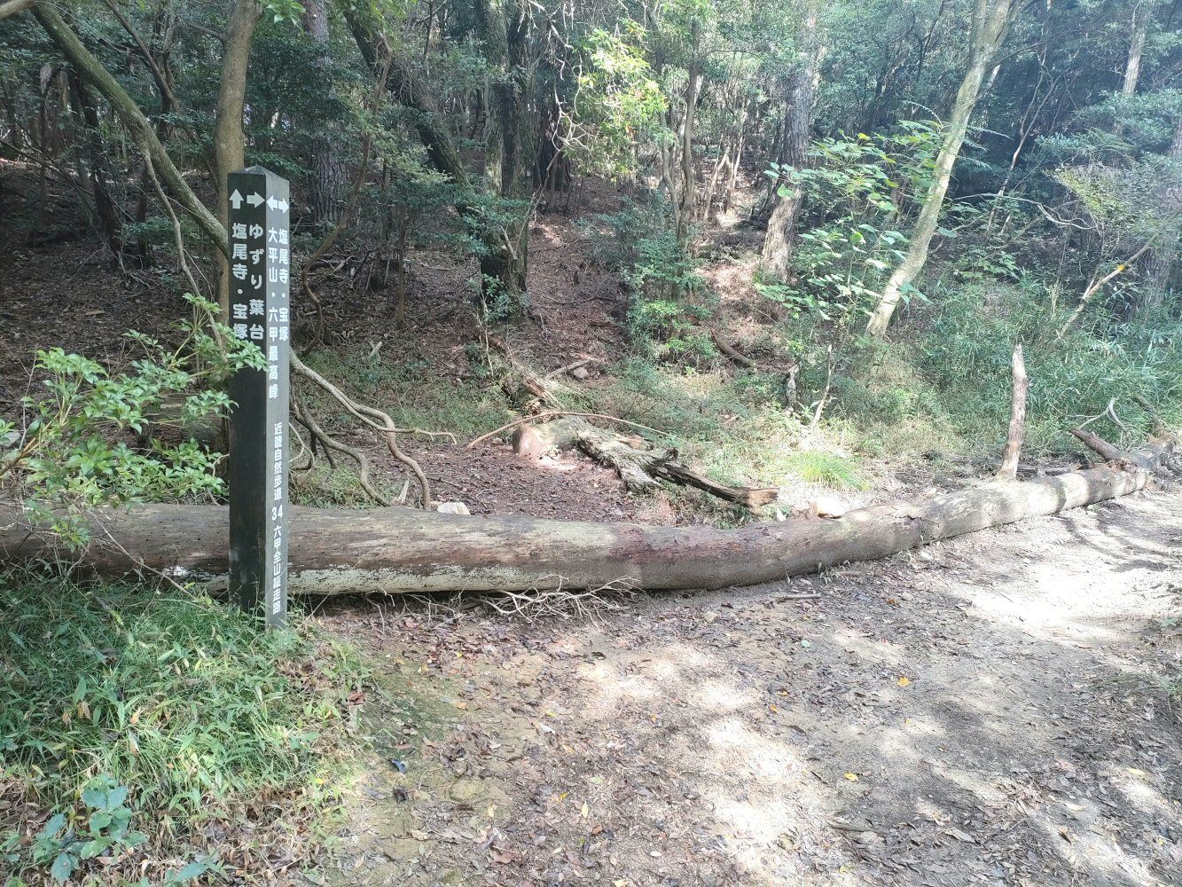 rokkou4_027