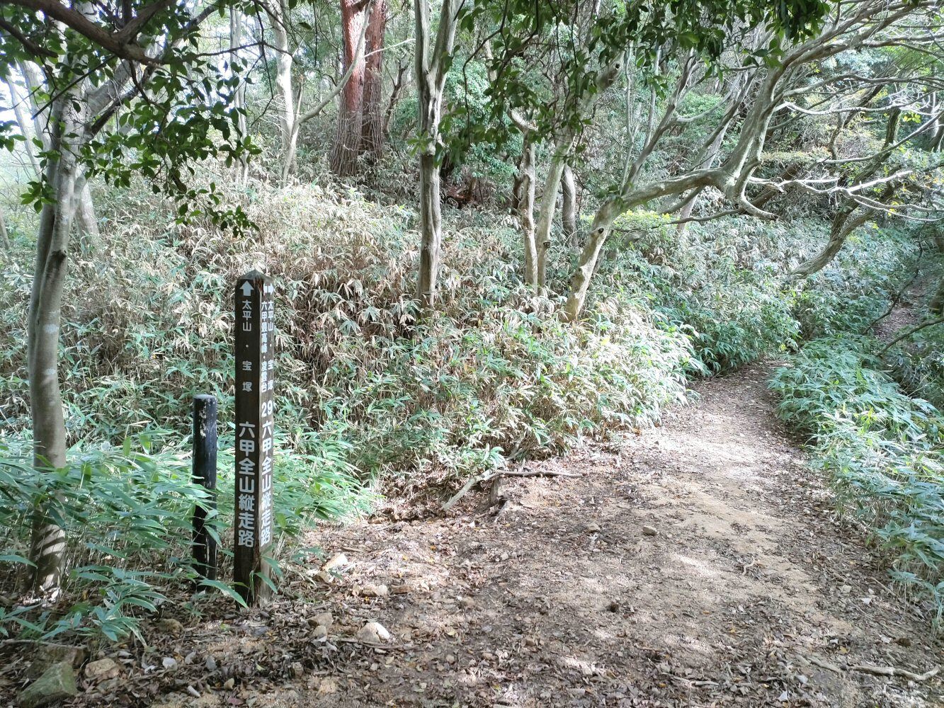 rokkou4_018