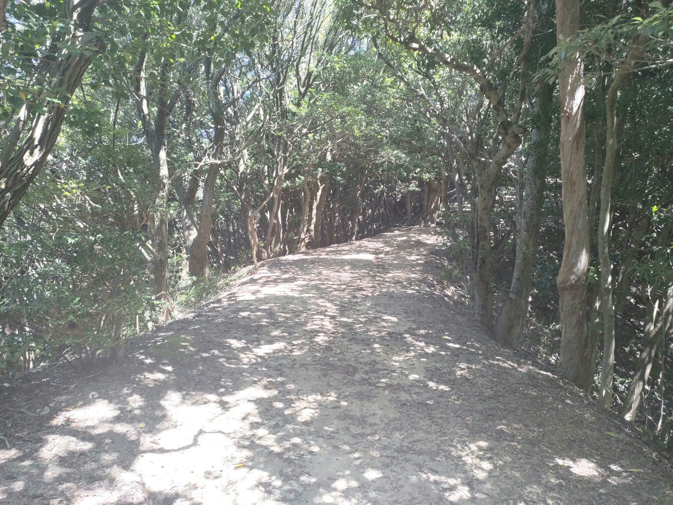 rokkou_06
