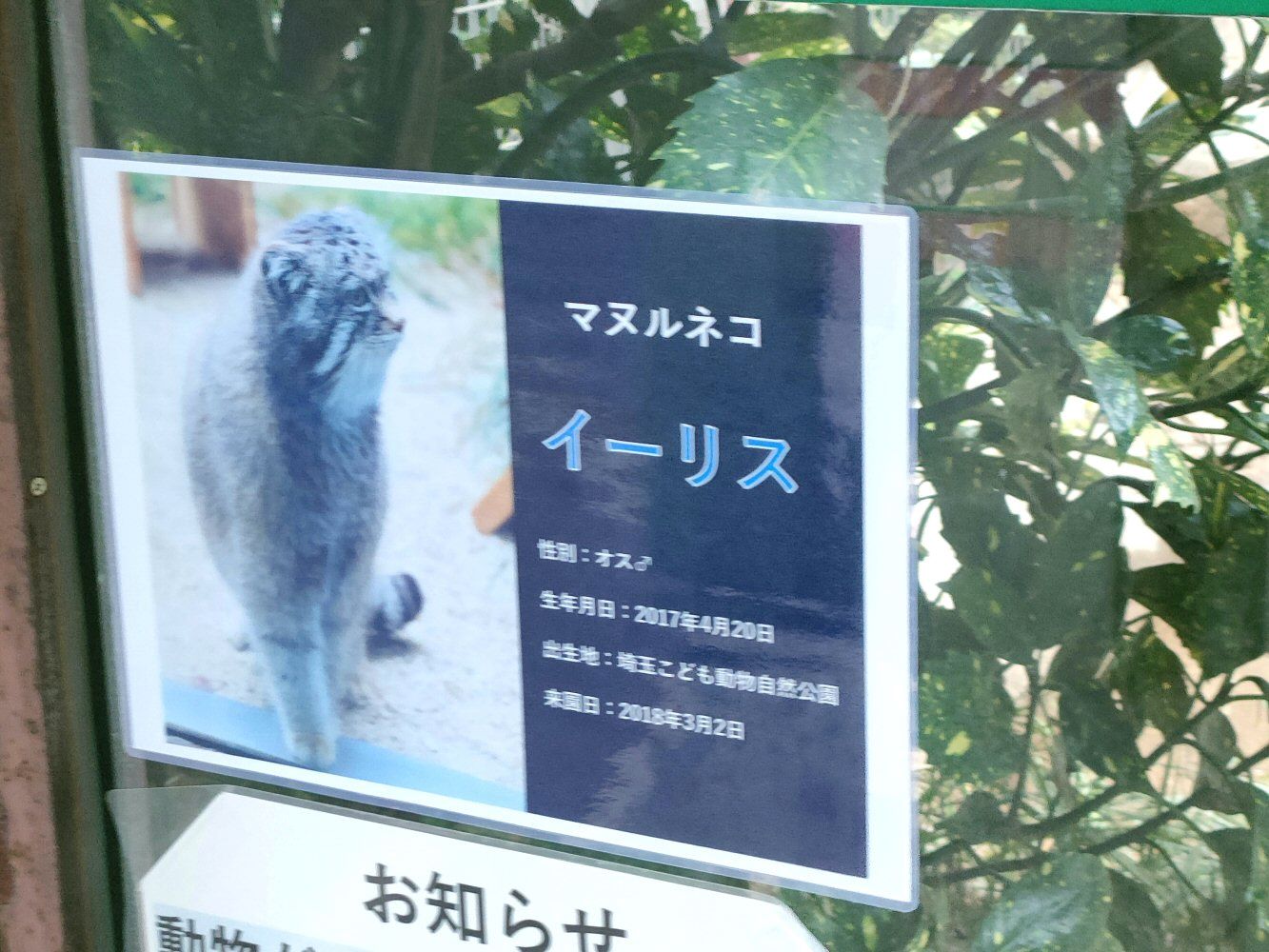 ouzi_zoo_019