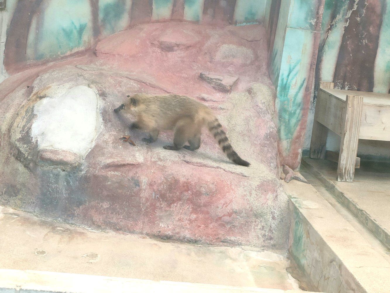 ouzi_zoo_017
