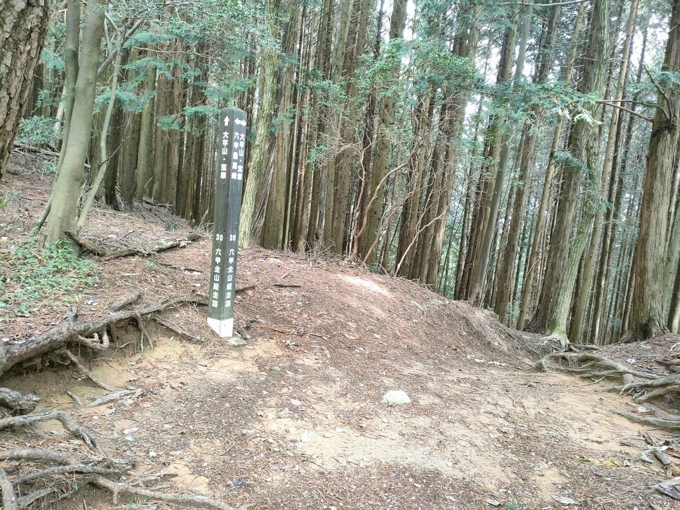 rokkou4_019