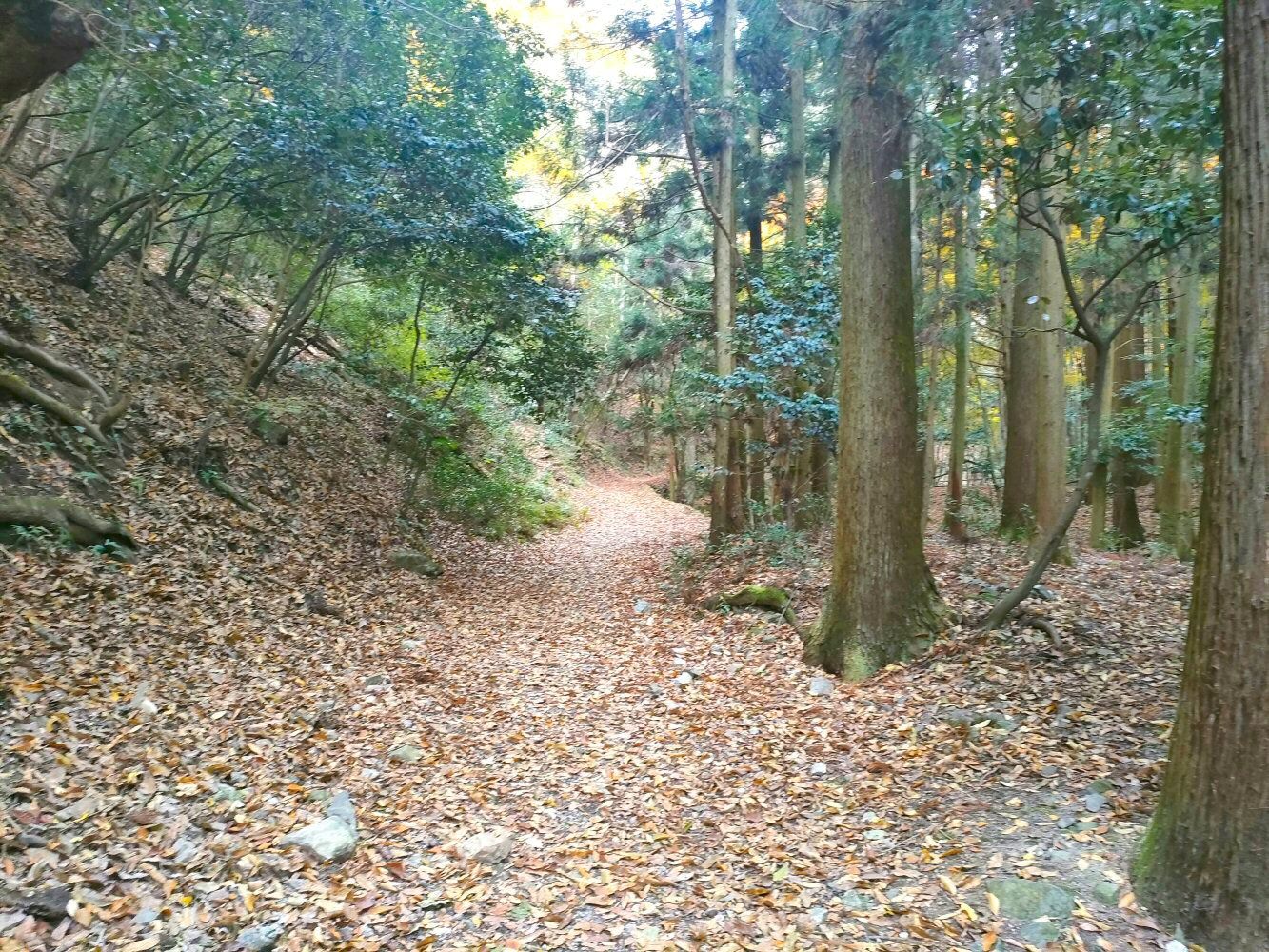 myouken_03