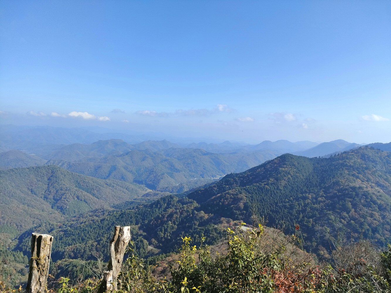 mitake_25