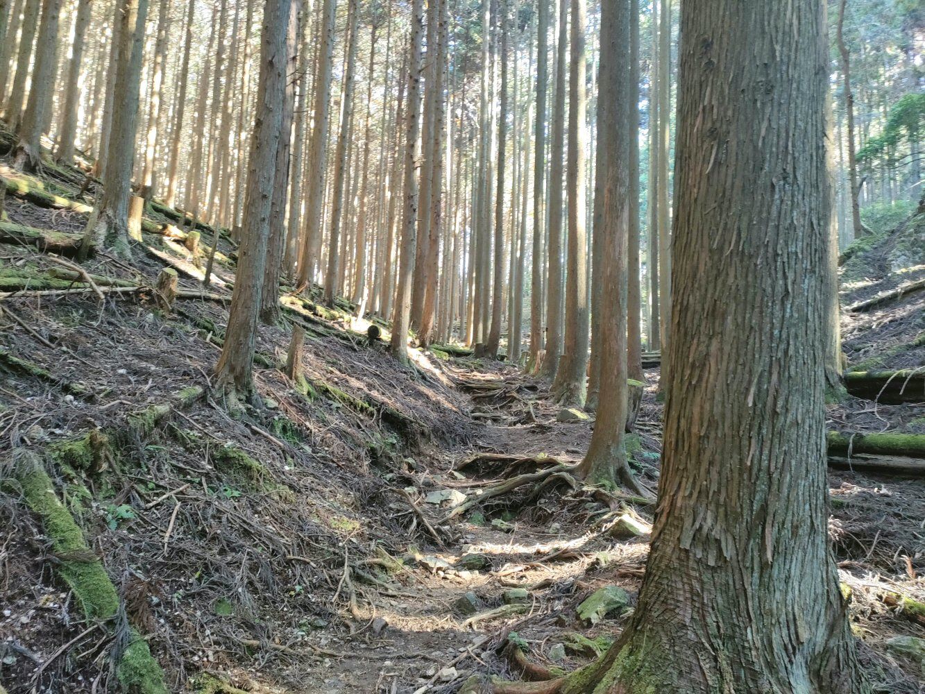 mitake_29