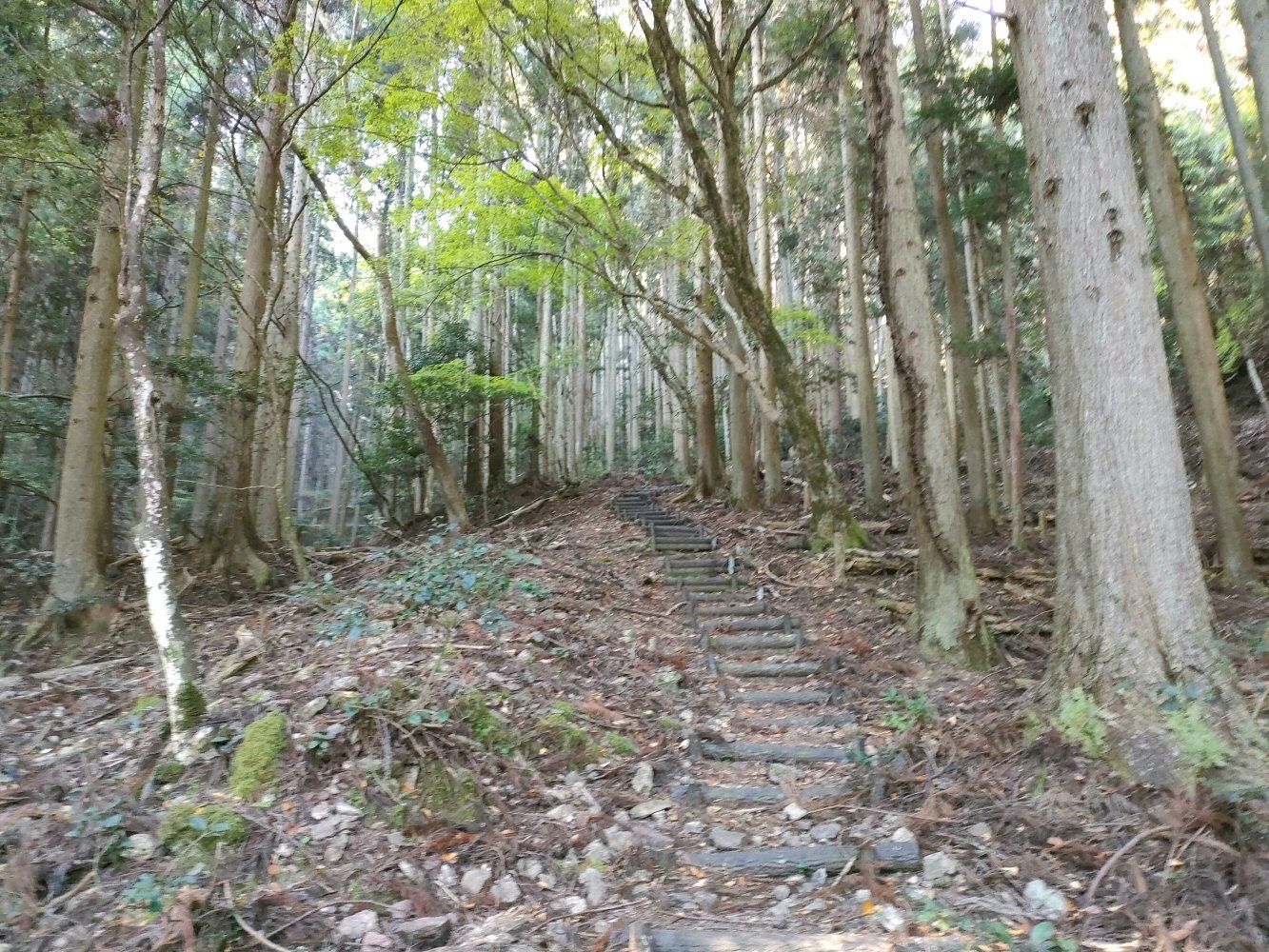 mitake_06