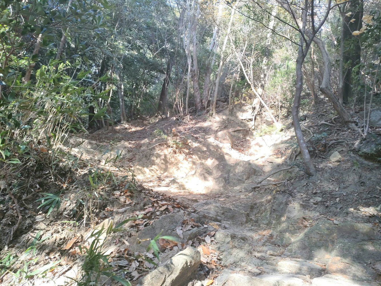 rokkou2a_40