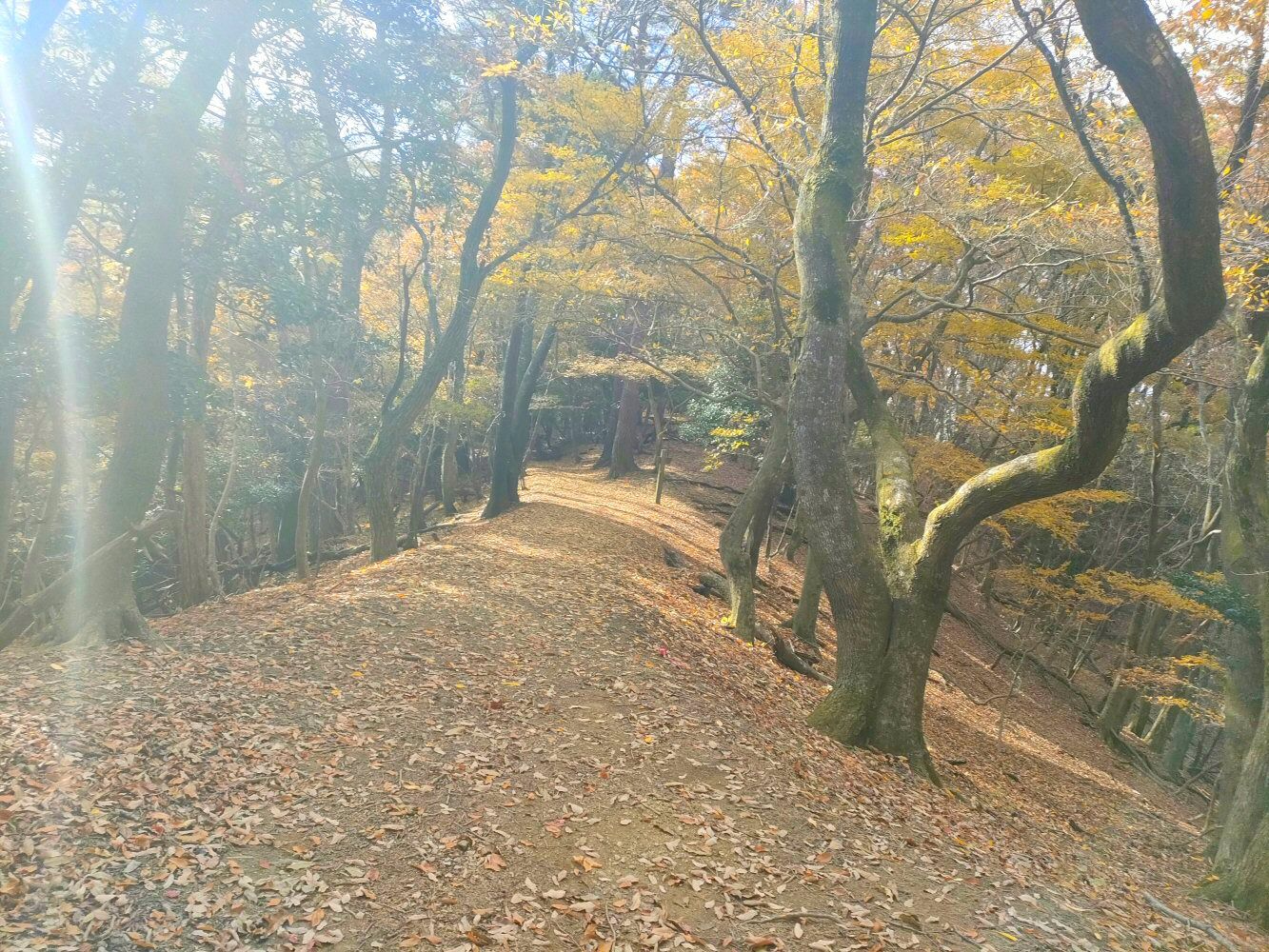 myouken_30