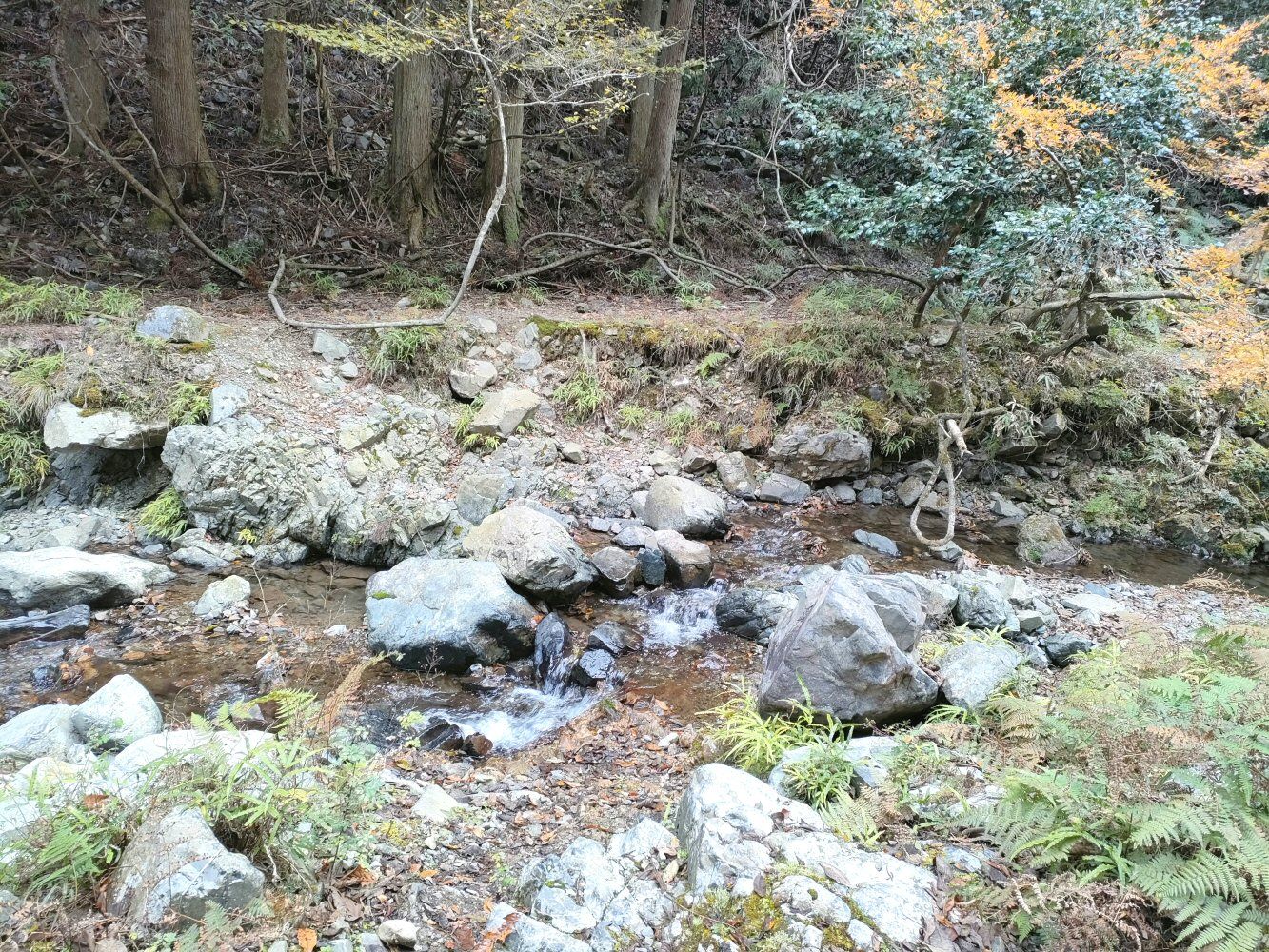 myouken_12