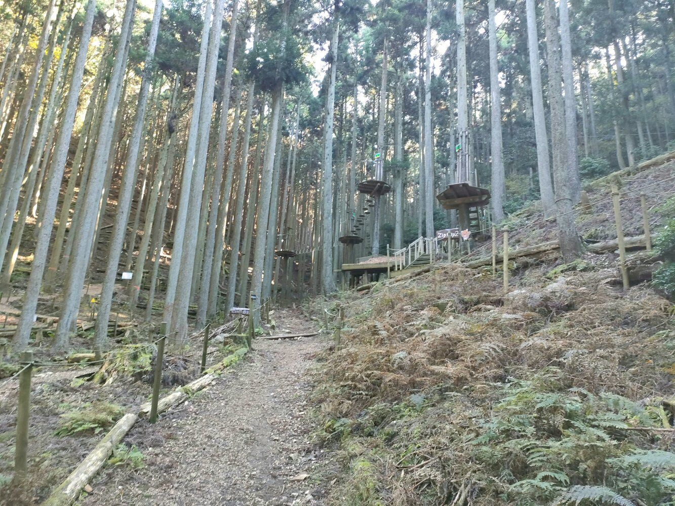 mitake_27