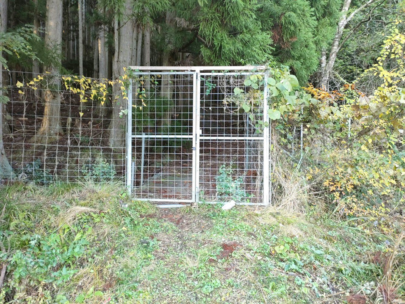 mitake_05