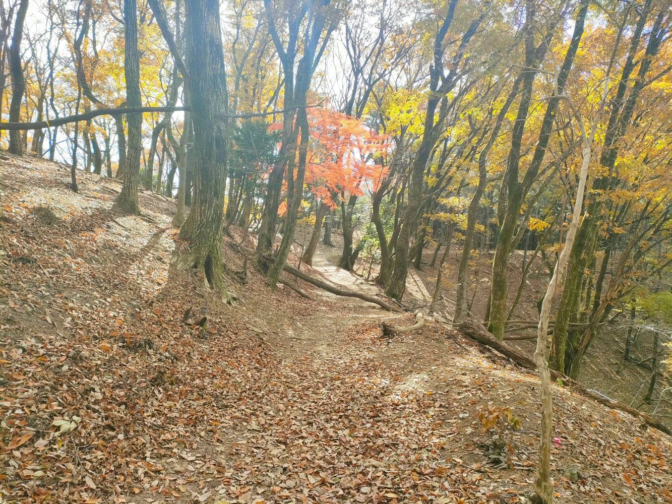 myouken_31
