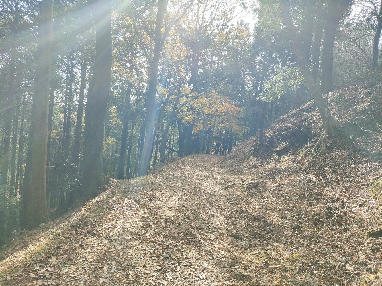 myouken_26
