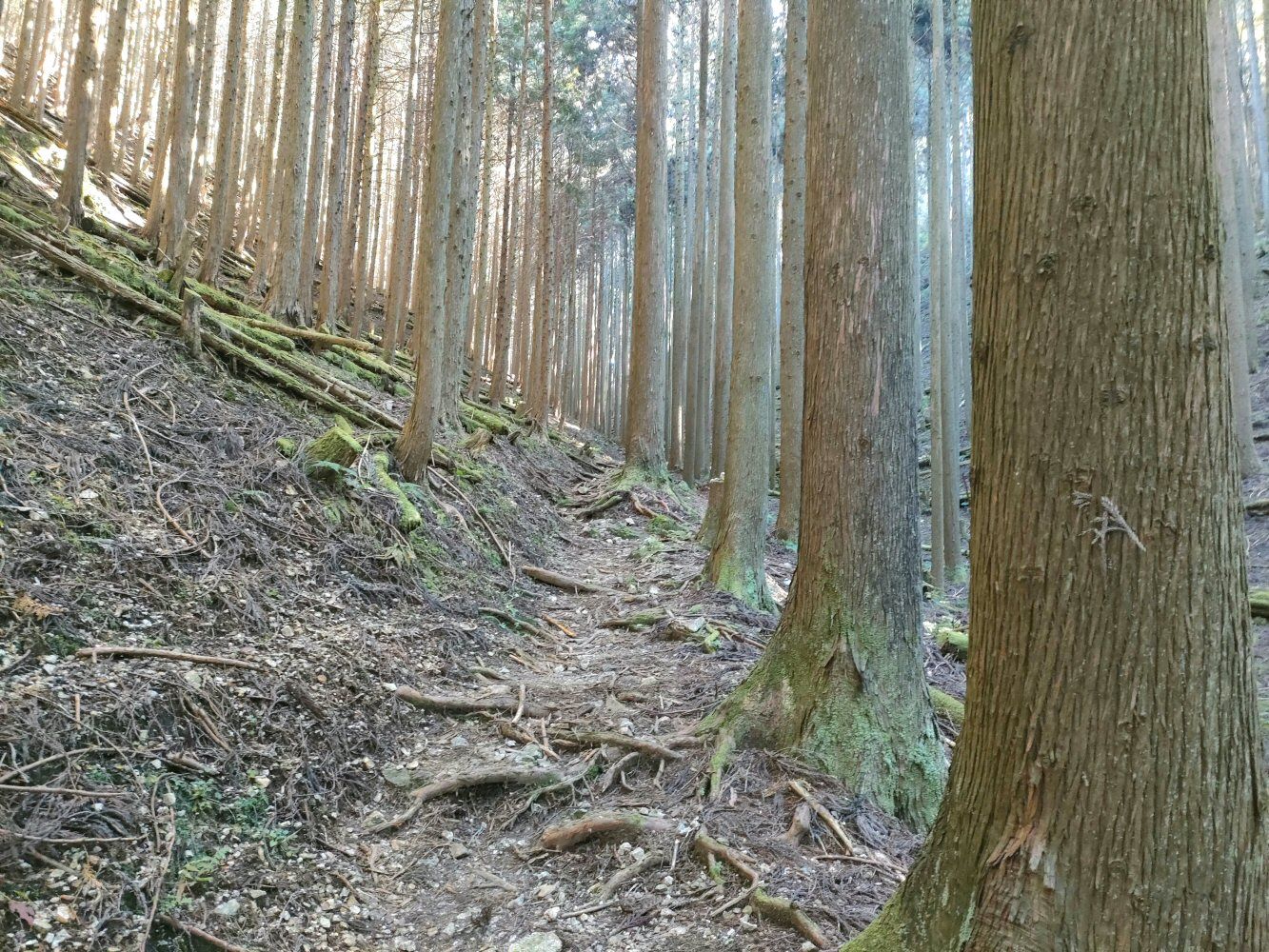 mitake_28