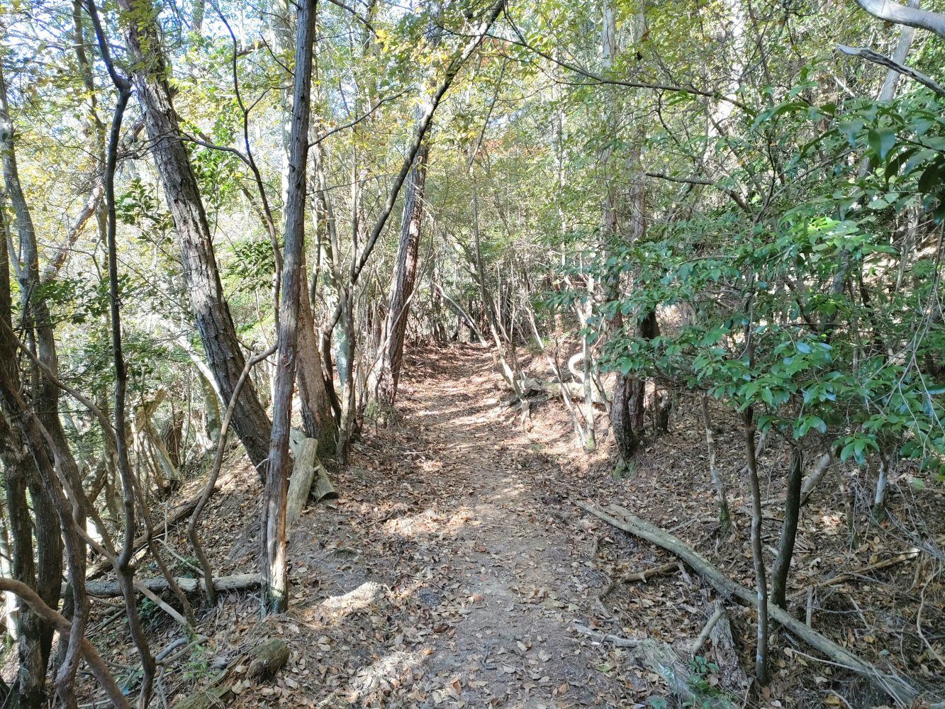 mitake_08