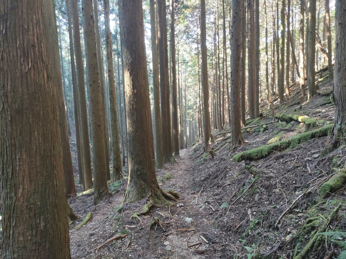 mitake_39