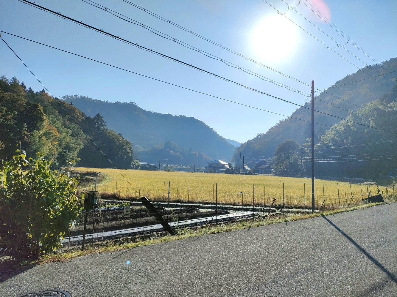 mitake_04