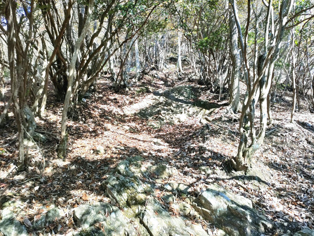 mitake_10