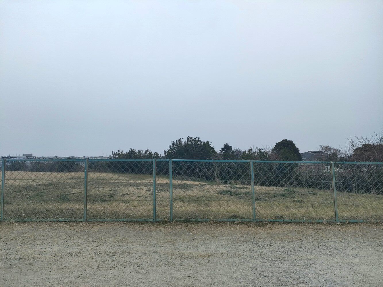 ItamiAP 05