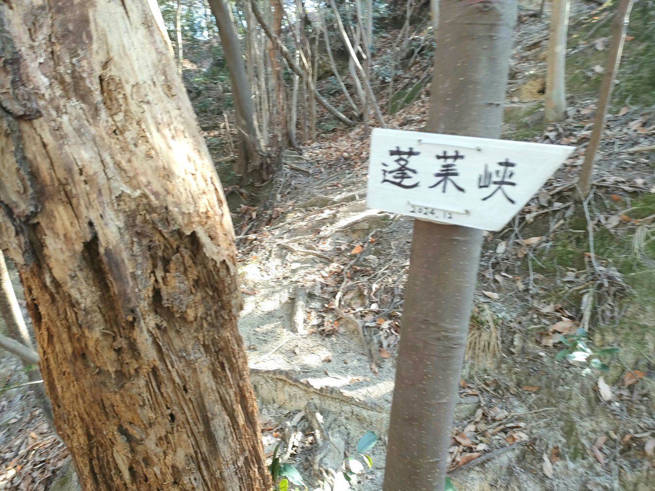 Hourai 21